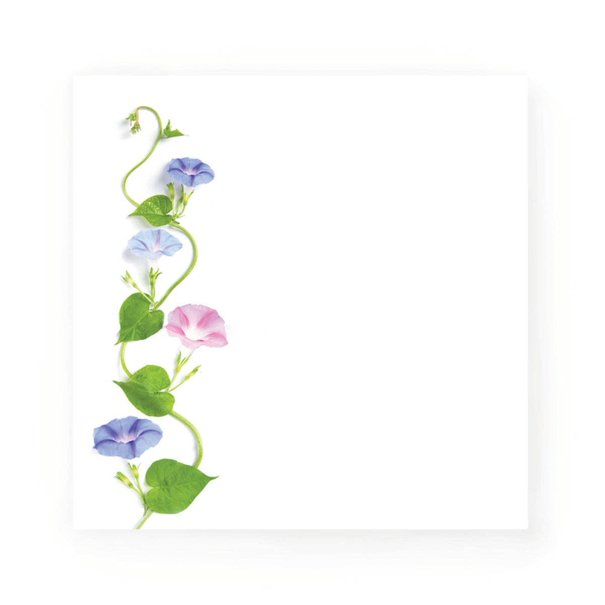 Sticky notes - Morning Glory