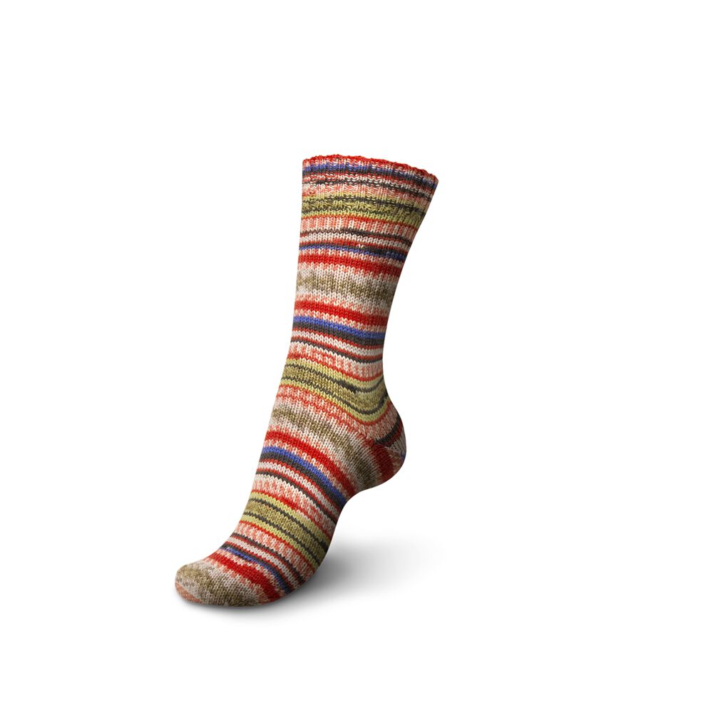 Regia 6-Ply Arne+Carlos Sock Yarn