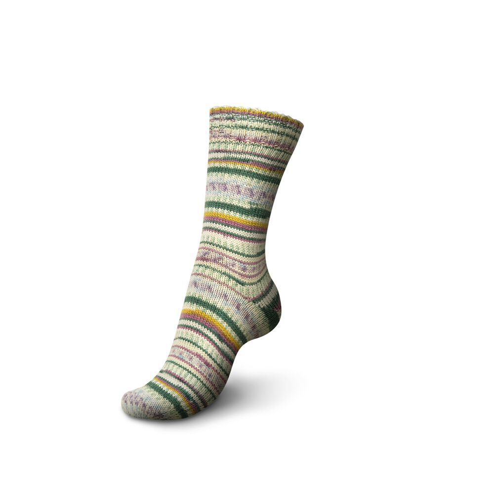 Regia 6-Ply Arne+Carlos Sock Yarn