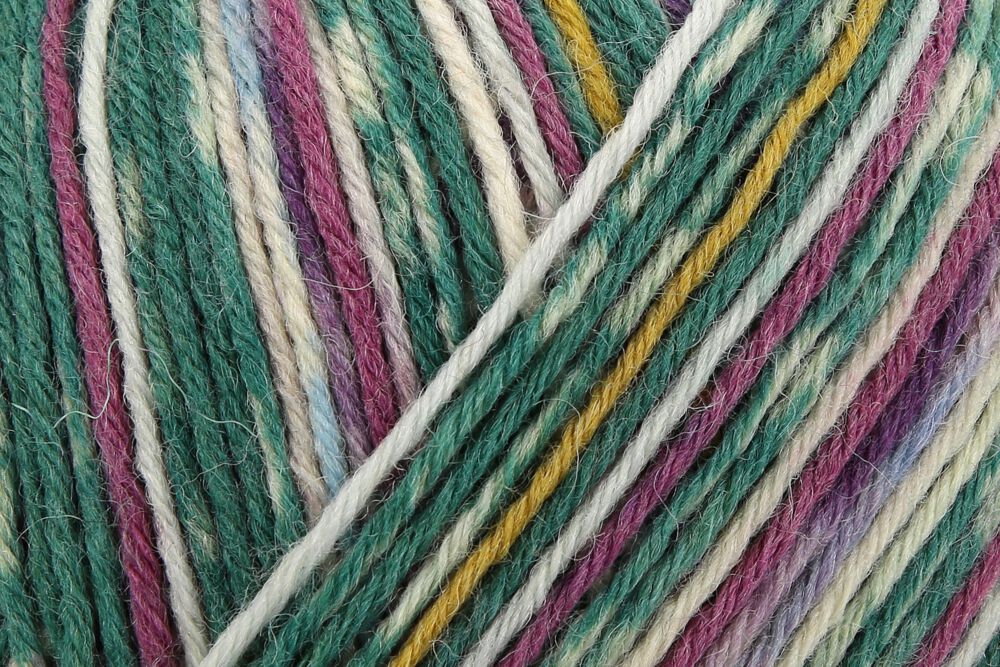 Regia 6-Ply Arne+Carlos Sock Yarn