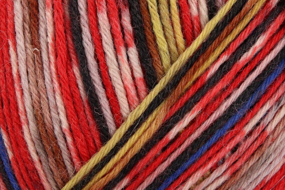 Regia 6-Ply Arne+Carlos Sock Yarn