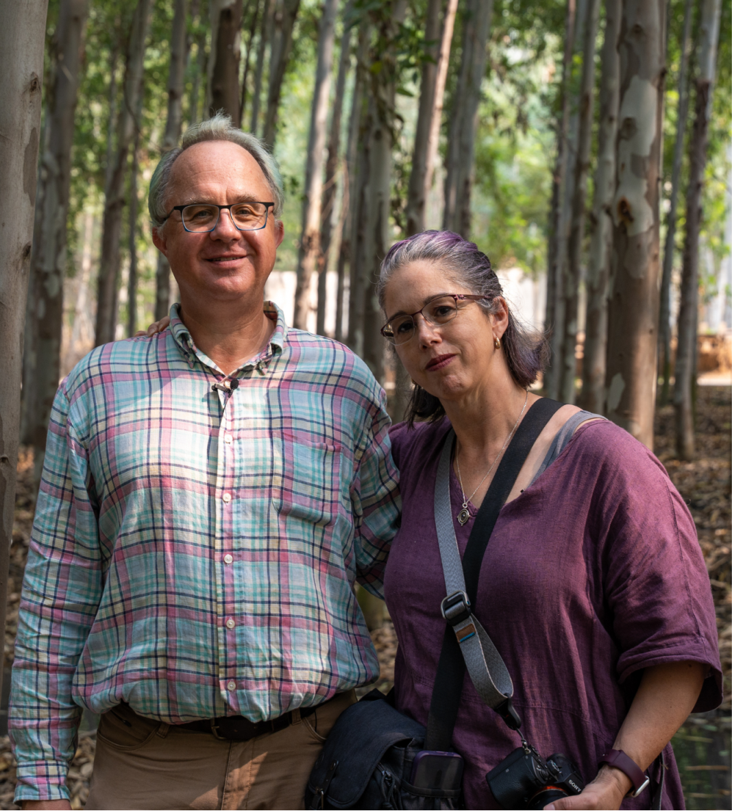 WORKSHOP: Create Your Own Sampler with Special Guest Shannon Dunbabin - SATURDAY 1/24/26