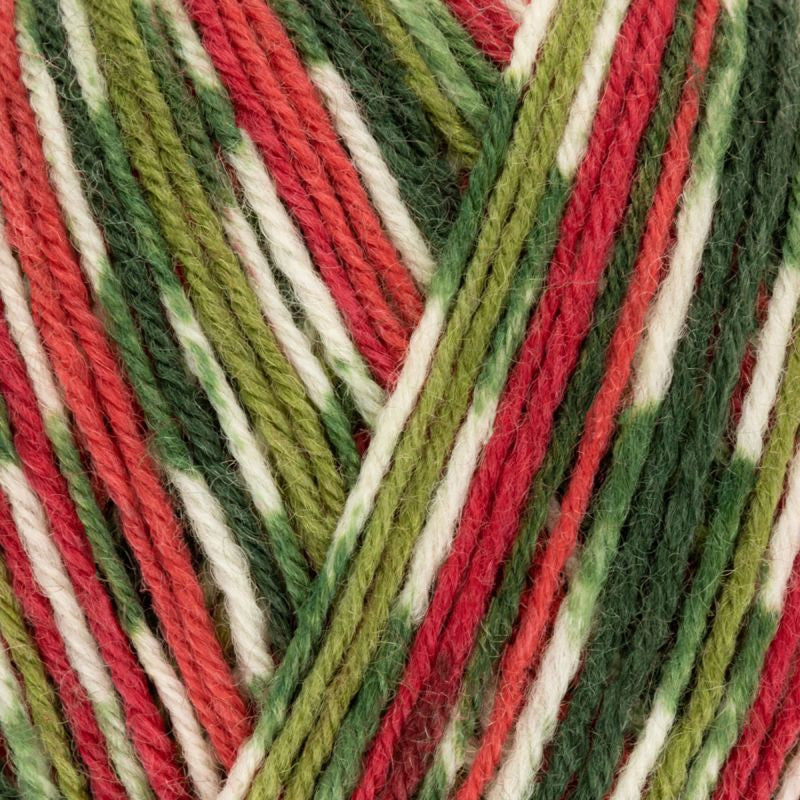West Yorkshire Spinners Signature - Country Birds 4ply Sock Yarn