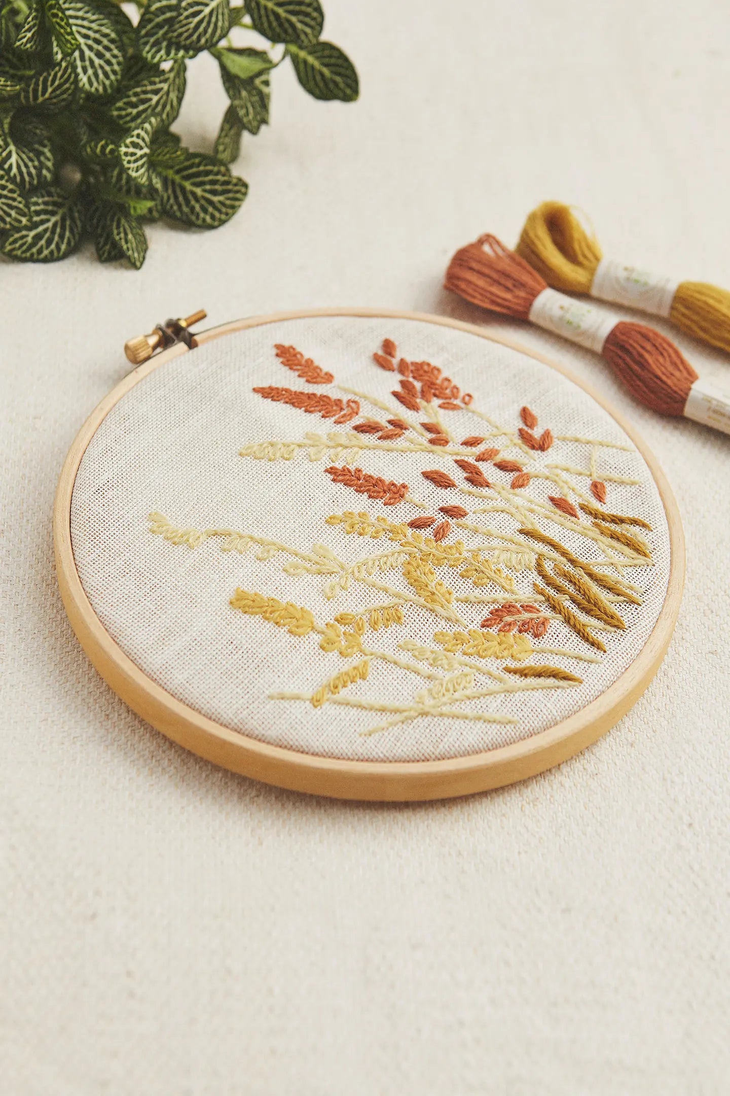 Wheat Flowers - Eco Vita Kit