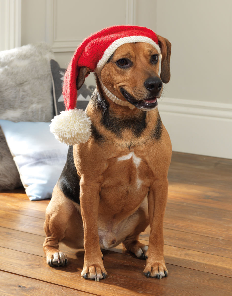 Sirdar Christmas Selection Book - More Than 20 Festive Favorites to Knit & Crochet