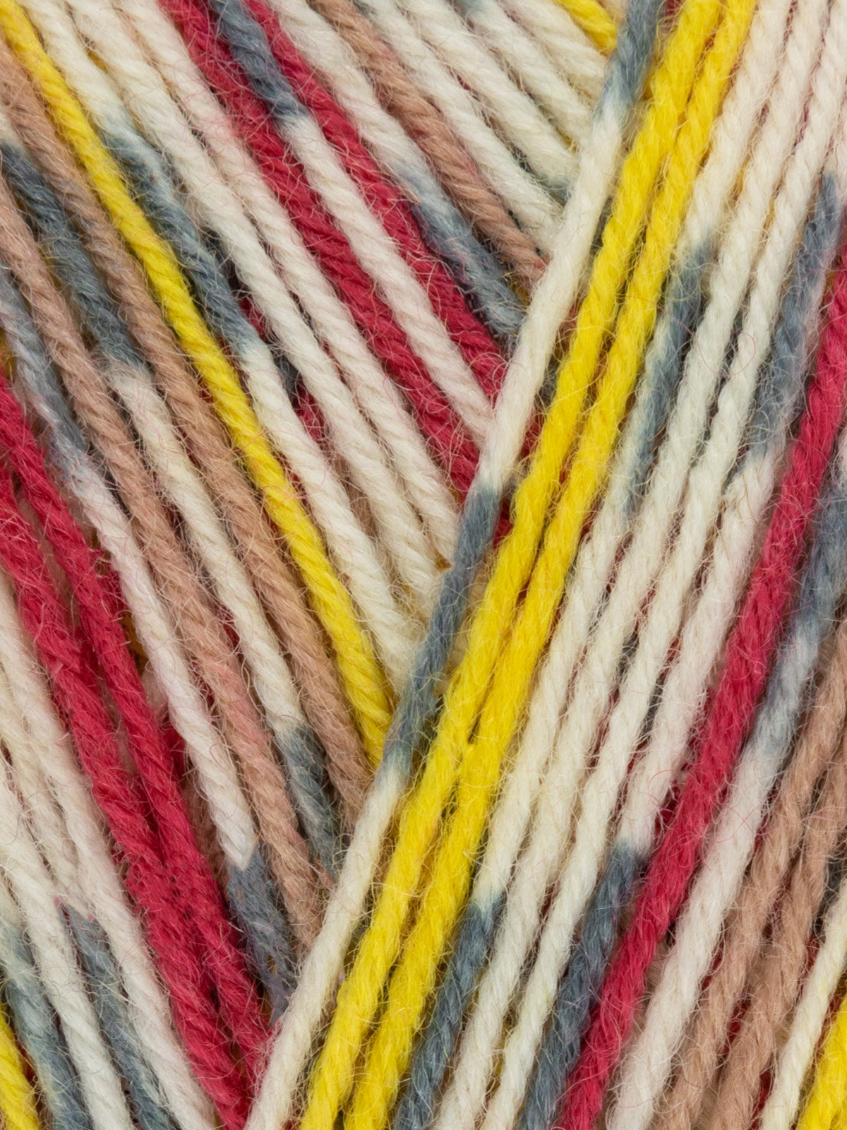 West Yorkshire Spinners Signature - Country Birds 4ply Sock Yarn