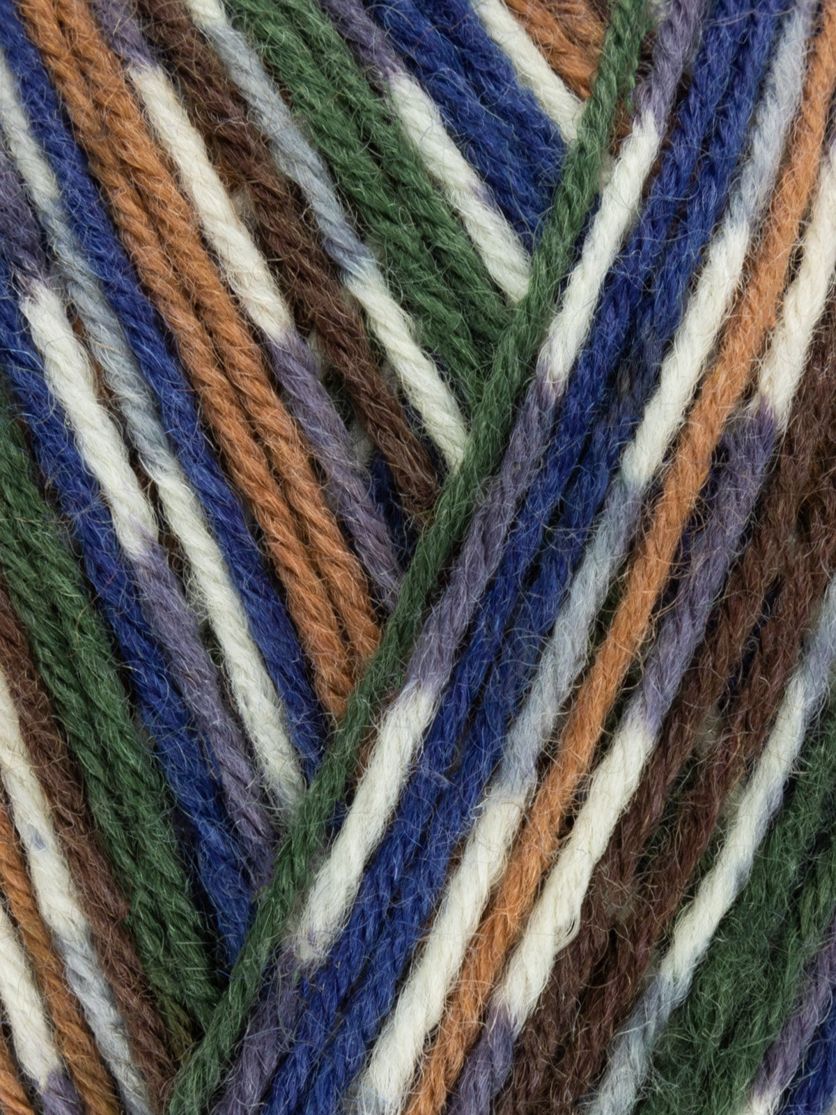 West Yorkshire Spinners Signature - Country Birds 4ply Sock Yarn