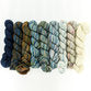 Koigu Painter's Fade Packs