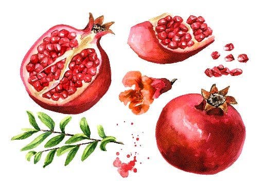 Swedish Dishcloth - Pomegranate With Seeds