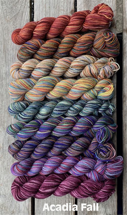 Koigu Painter's Fade Packs