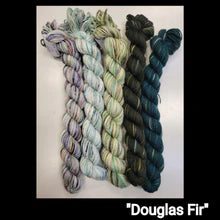 Koigu Paint Can