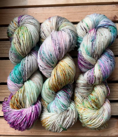 Pet Chicken Hand Dyed Yarn: Fingering