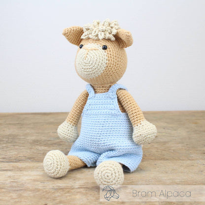Bram Alpaca - DIY Crochet Kit