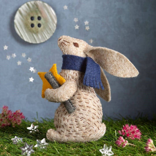 Professor Hare Stargazer Felt Craft Mini Kit: English