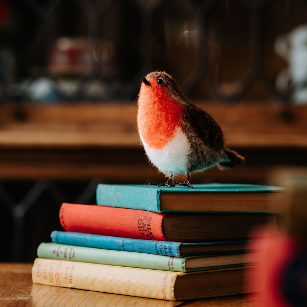Red Robin British Birds Needle Felting Craft Kit