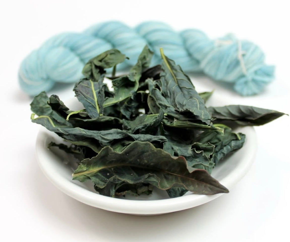 WORKSHOP: Plant Dyeing with KnittyVet SATURDAY 8/30/25 10:00am-Noon