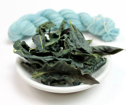 WORKSHOP: Plant Dyeing with KnittyVet SATURDAY 8/30/25 10:00am-Noon