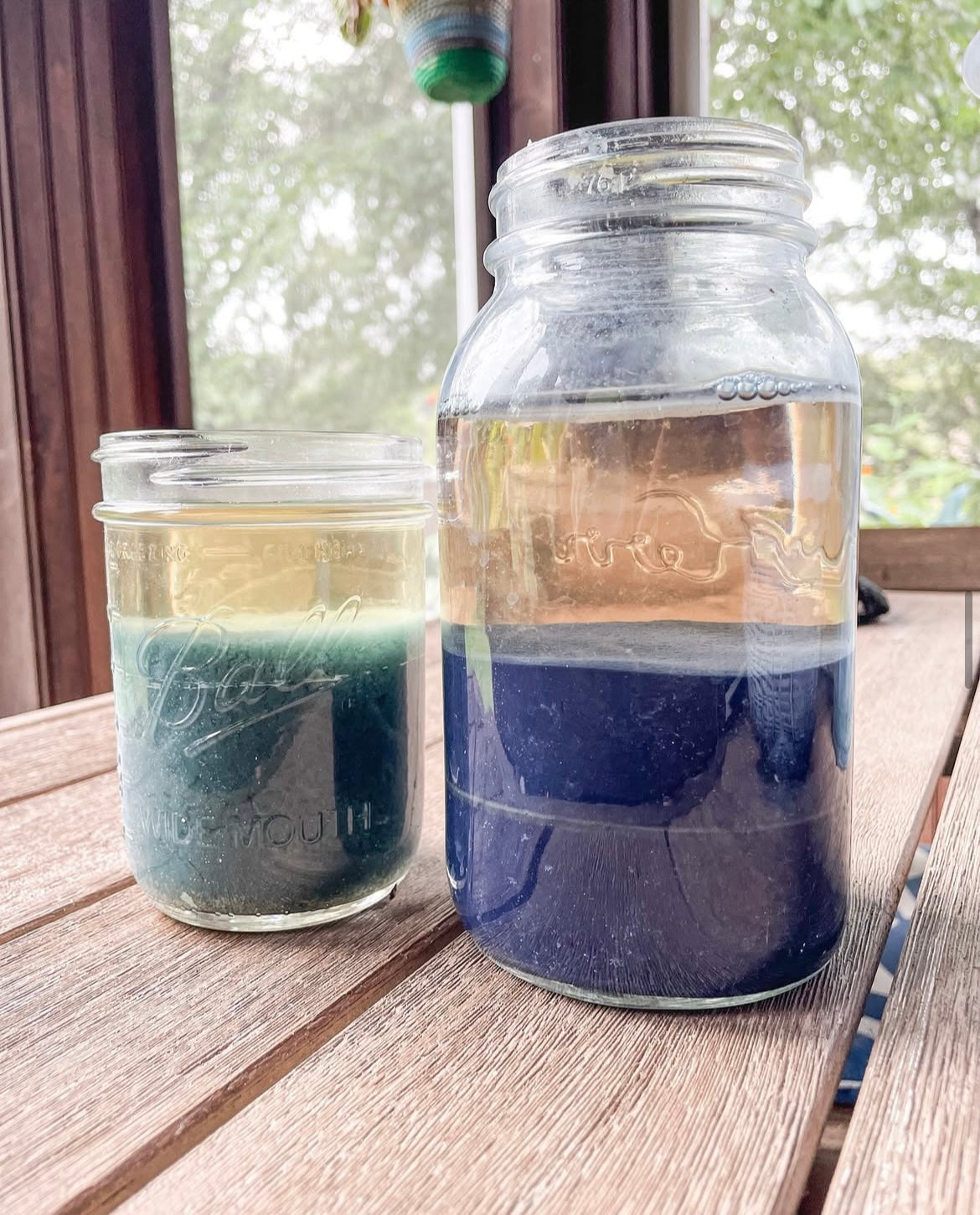 WORKSHOP: Plant Dyeing with KnittyVet SATURDAY 8/30/25 10:00am-Noon