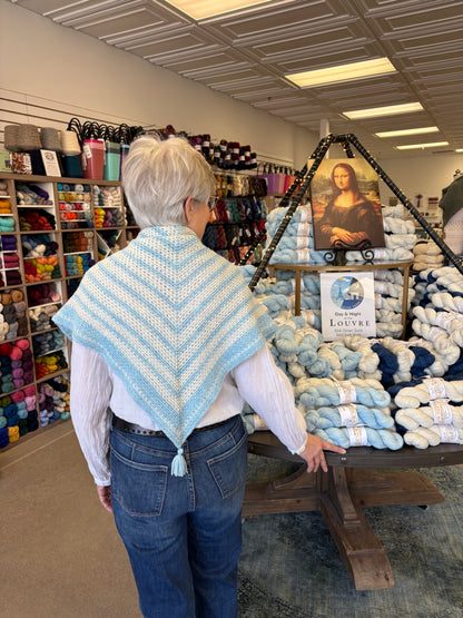 Day & Night at the Louvre by Palmer Yarn Co - 2026 MN Yarn Shop Hop
