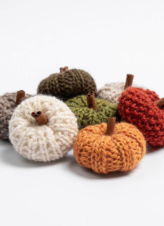 EVENT: Pumpkin Party! 🎃 SATURDAY 10/3/26 1:00-3:30 pm