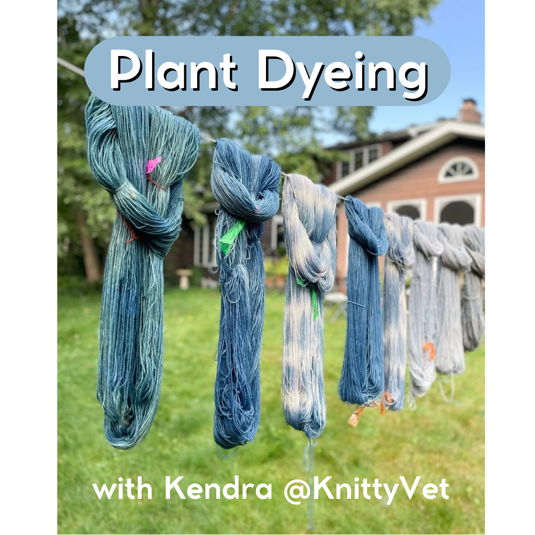 WORKSHOP: Plant Dyeing with KnittyVet SATURDAY 8/30/25 10:00am-Noon