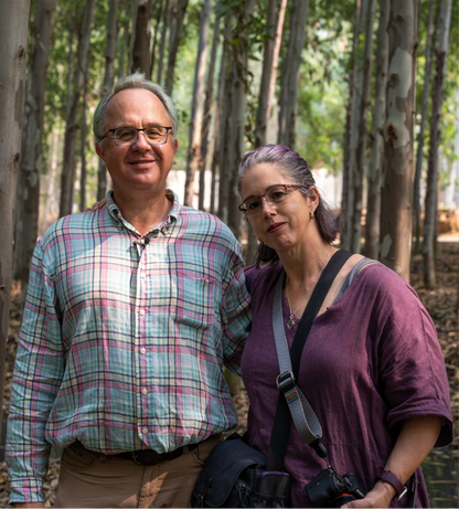 WORKSHOP: Create Your Own Sampler with Special Guest Shannon Dunbabin - SATURDAY 1/24/26