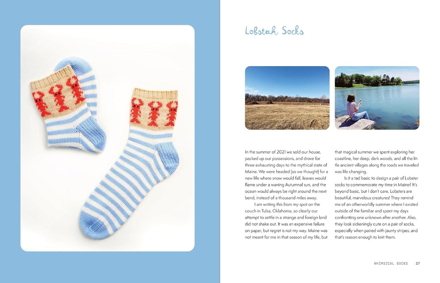 The Sock Obsession: Supercool Socks to Knit and Show Off by Summer Lee