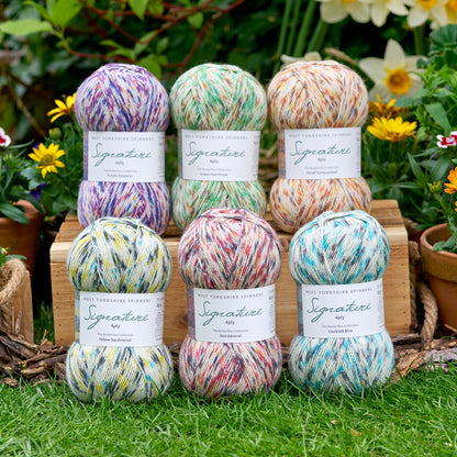 West Yorkshire Spinners Signature - Butterflies 4ply Sock Yarn
