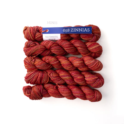 Malabrigo Ultimate Sock Minis