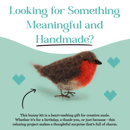 Red Robin British Birds Needle Felting Craft Kit