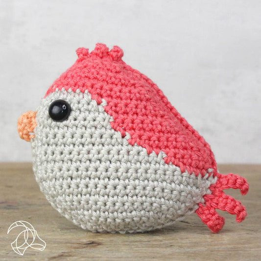 Red Bird - DIY Crochet Kit
