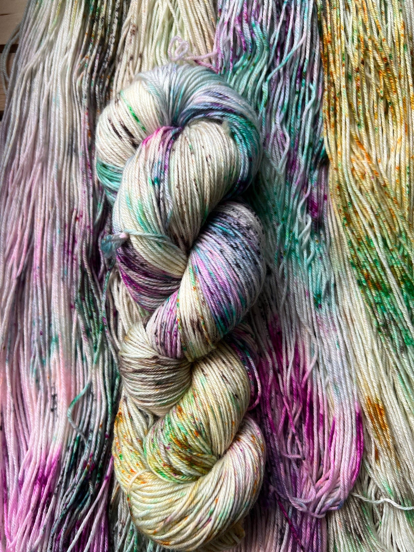 Pet Chicken Hand Dyed Yarn: Fingering