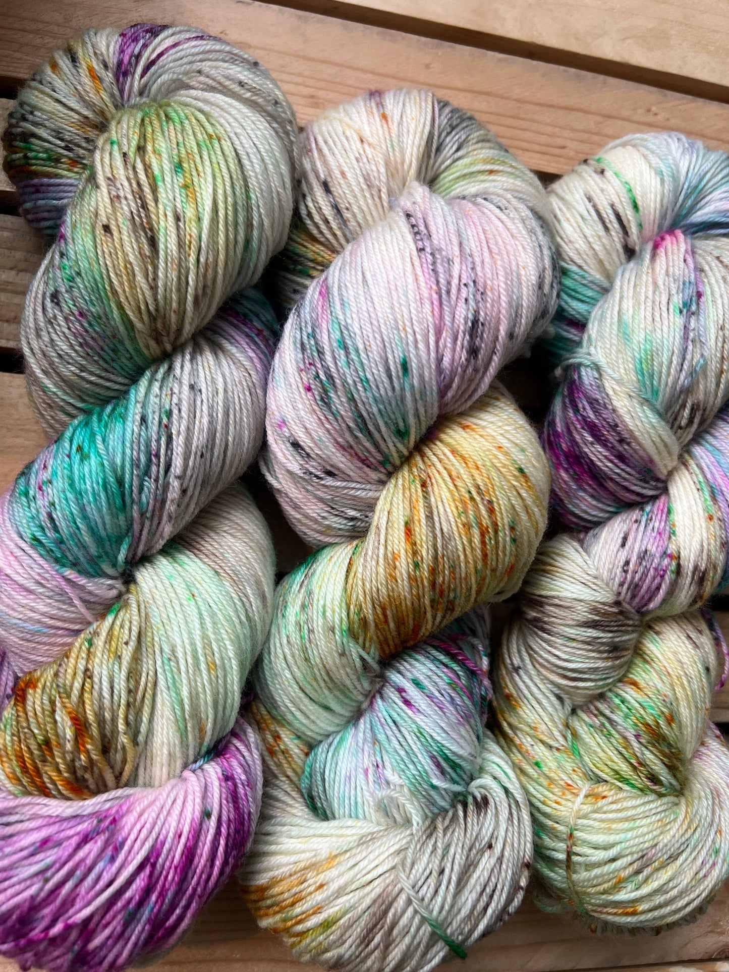 Pet Chicken Hand Dyed Yarn: Fingering