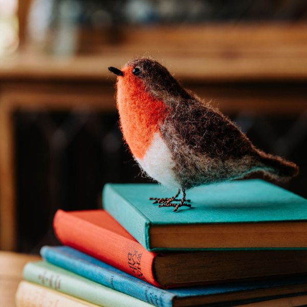 Red Robin British Birds Needle Felting Craft Kit