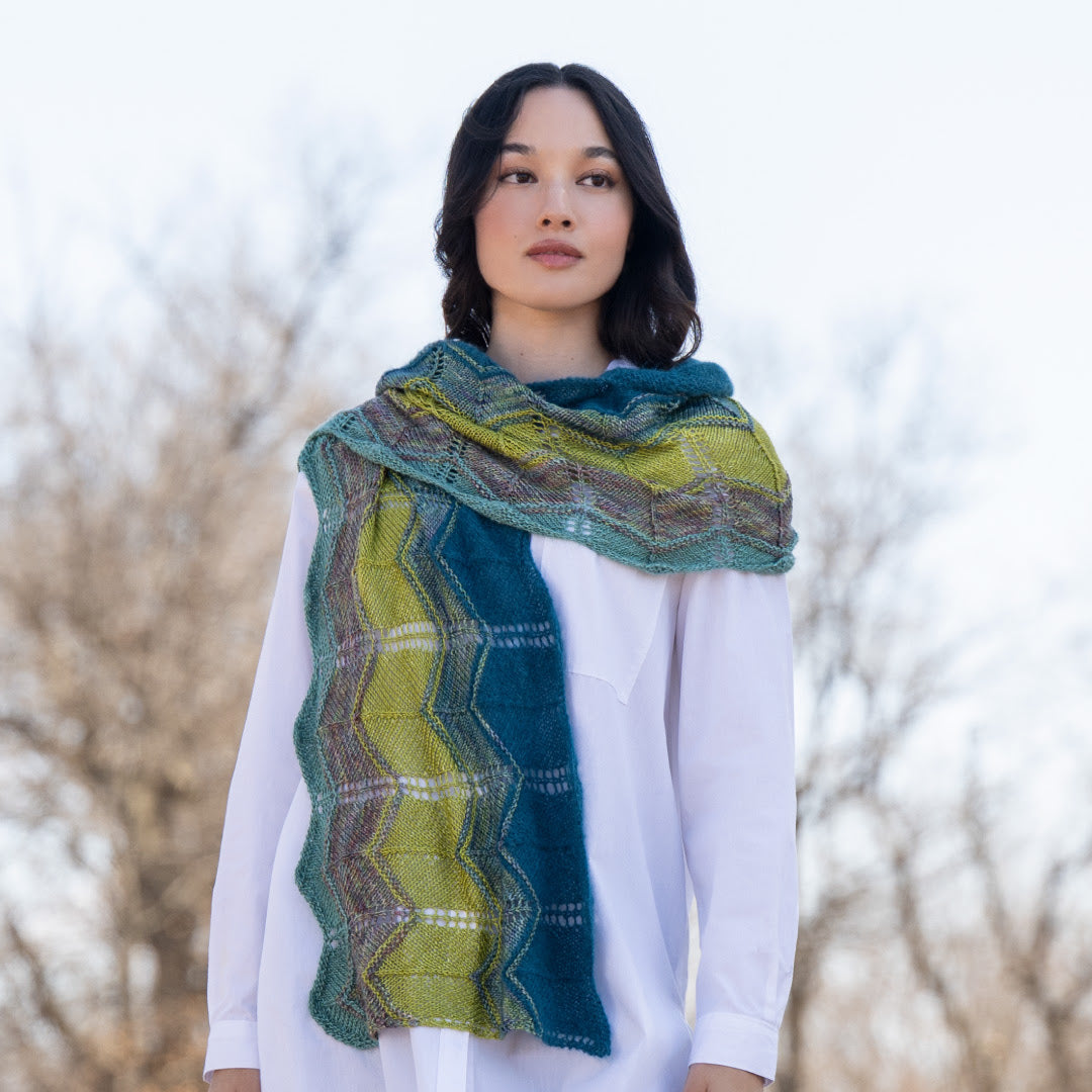 Elegante Wrap - Malabrigo 2026 Holiday Kit