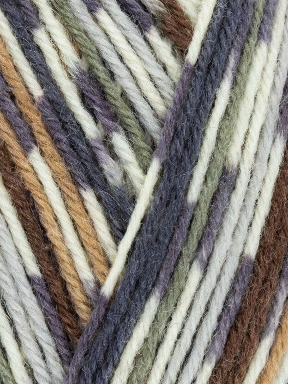 West Yorkshire Spinners Signature - Country Birds 4ply Sock Yarn