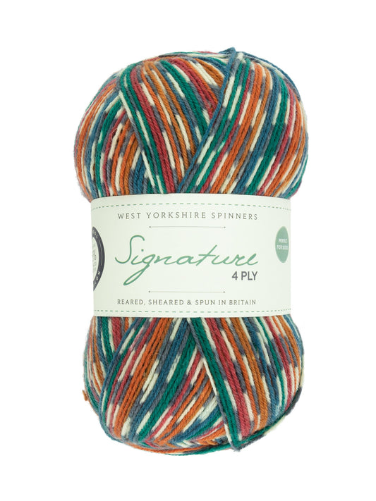 West Yorkshire Spinners Signature - Country Birds 4ply Sock Yarn